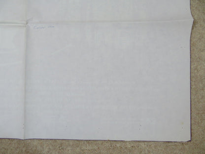 THE COLOR PURPLE ITALIAN 2 FOGLIO POSTER SPIELBERG DANNY GLOVER W. GOLDBERG 1985 Rendezvous Cinema Movie posters