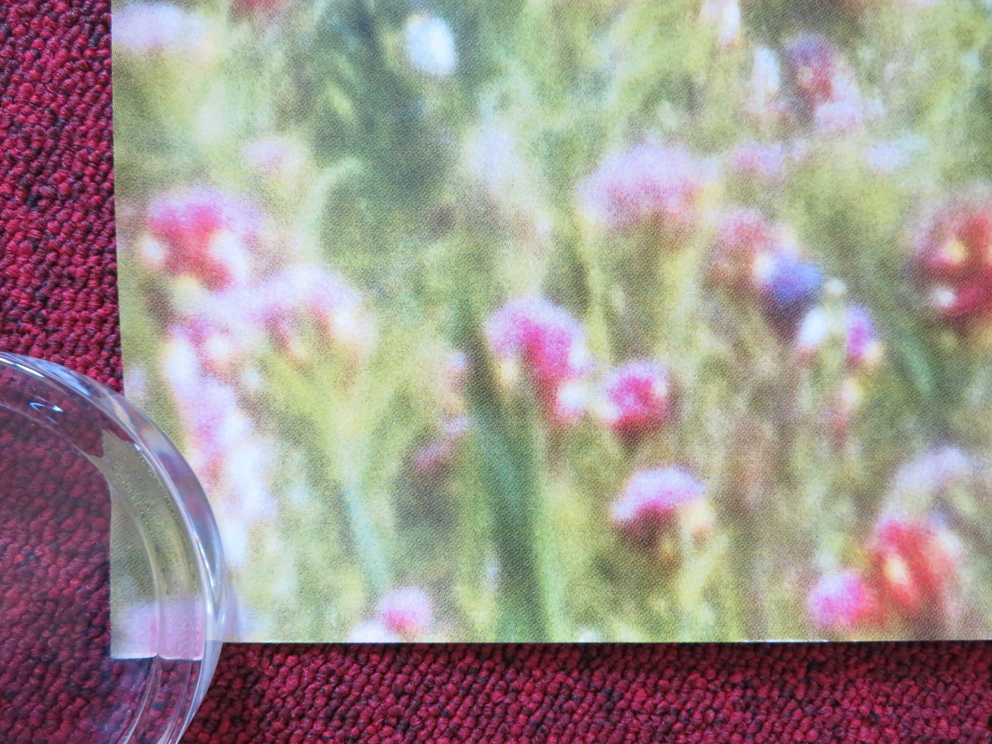 THE COLOUR OF PARADISE UK QUAD (30"x 40") ROLLED POSTER HOSSEIN MAHJOUB 1999 Rendezvous Cinema Movie posters