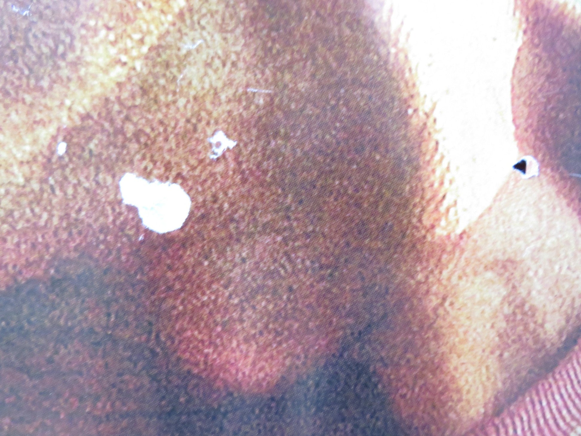 THE CONSTANT GARDENER UK QUAD (30"x 40") ROLLED POSTER RALPH FIENNES 2005 Rendezvous Cinema Movie posters