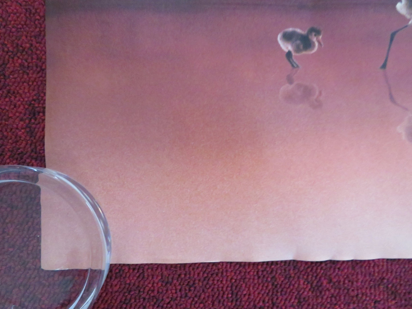 THE CRIMSON WING: MYSTERY OF THE FLAMINGO UK QUAD (30"x 40") ROLLED POSTER 2008 Rendezvous Cinema Movie posters