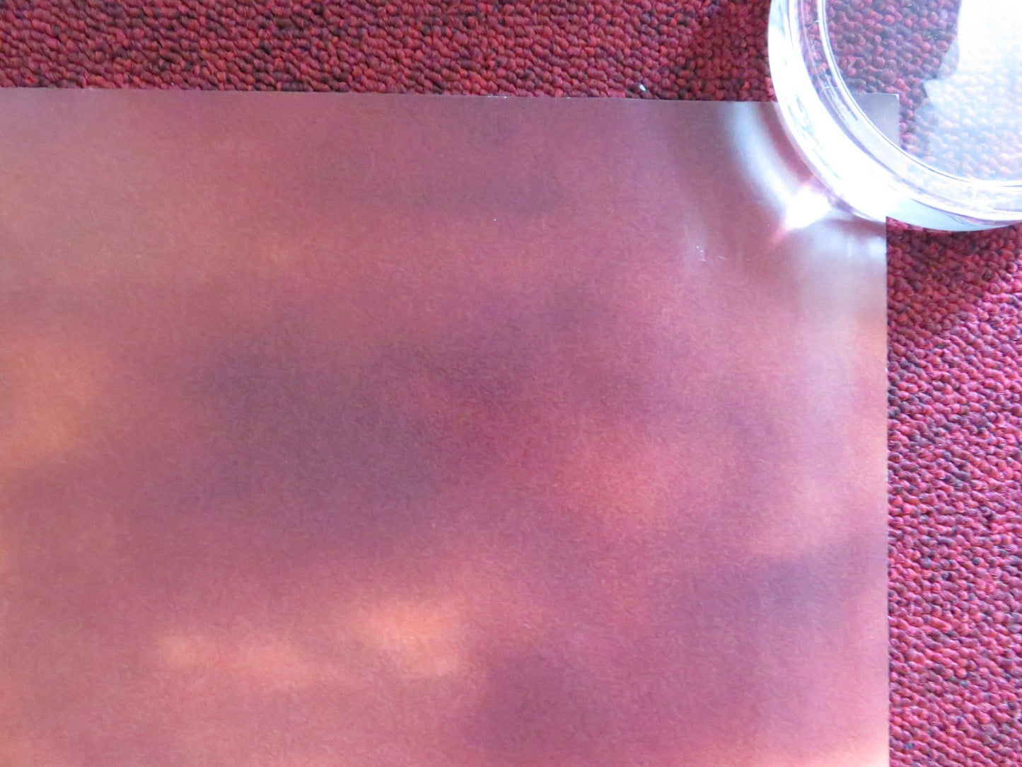 THE CRIMSON WING: MYSTERY OF THE FLAMINGO UK QUAD (30"x 40") ROLLED POSTER 2008 Rendezvous Cinema Movie posters