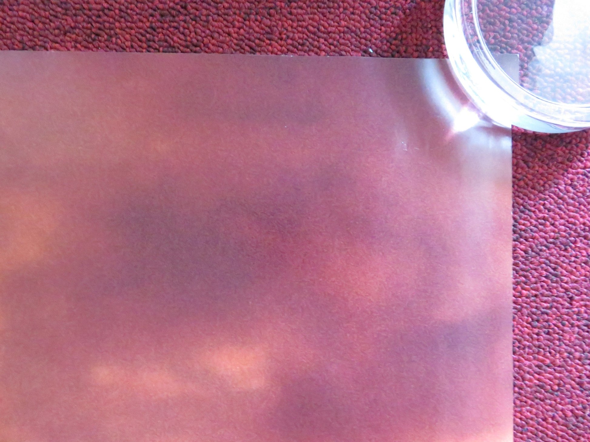 THE CRIMSON WING: MYSTERY OF THE FLAMINGO UK QUAD (30"x 40") ROLLED POSTER 2008 Rendezvous Cinema Movie posters