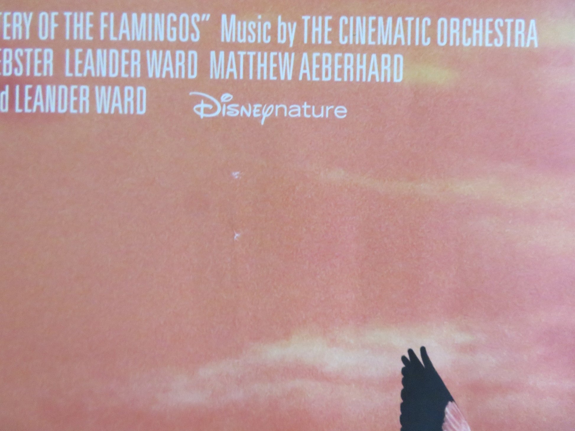 THE CRIMSON WING: MYSTERY OF THE FLAMINGO UK QUAD (30"x 40") ROLLED POSTER 2008 Rendezvous Cinema Movie posters