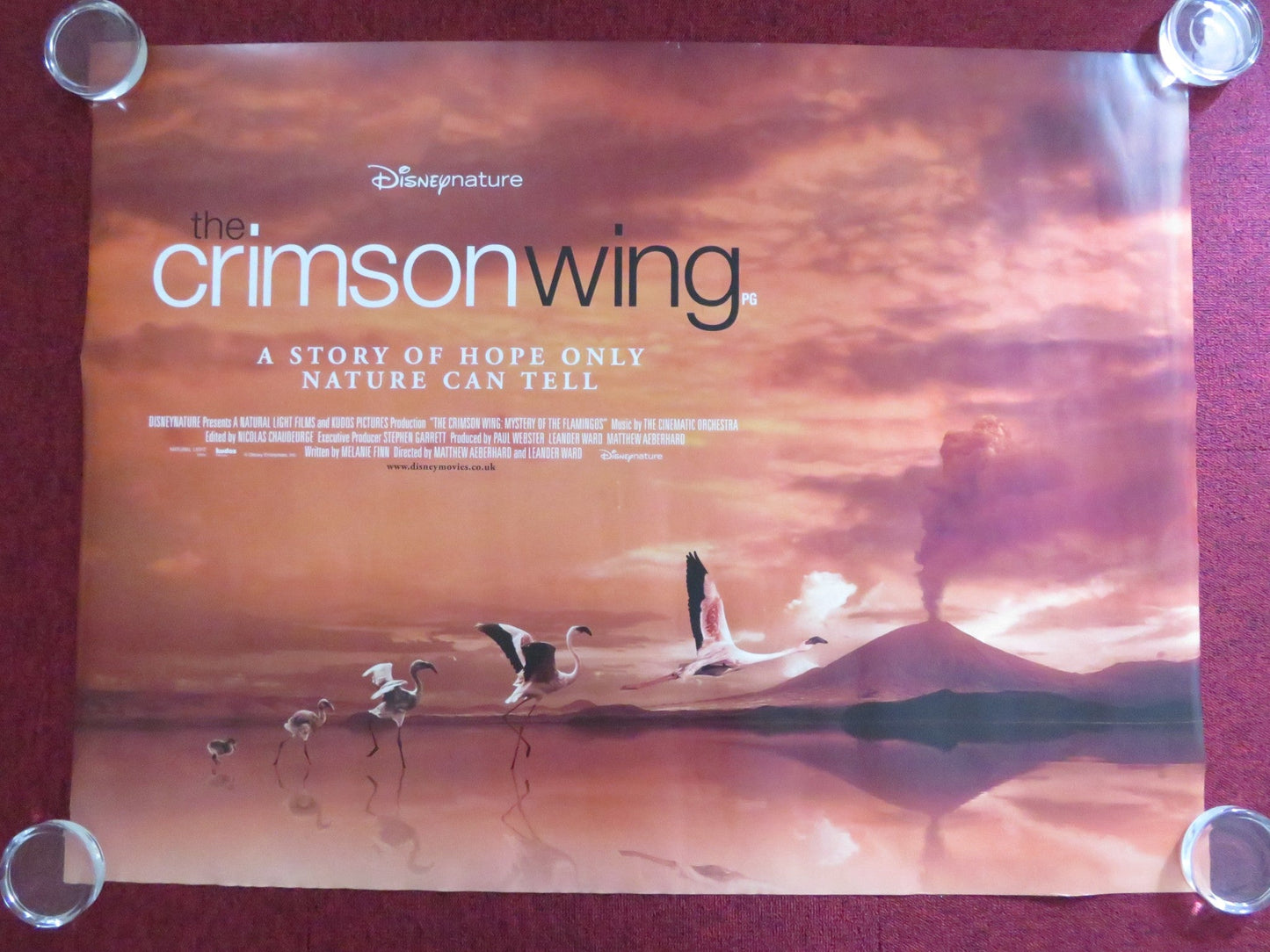 THE CRIMSON WING: MYSTERY OF THE FLAMINGO UK QUAD (30"x 40") ROLLED POSTER 2008 Rendezvous Cinema Movie posters