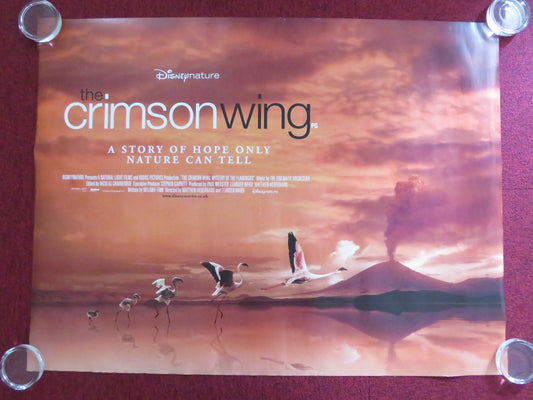 THE CRIMSON WING: MYSTERY OF THE FLAMINGO UK QUAD (30"x 40") ROLLED POSTER 2008 Rendezvous Cinema Movie posters