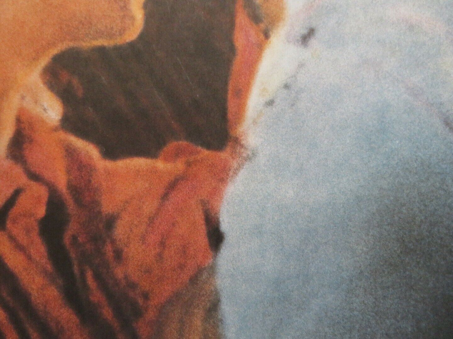 THE CRUDE OASIS US ONE SHEET ROLLED POSTER AARON SHIELDS JENNIFER TAYLOR 1995 Movie posters