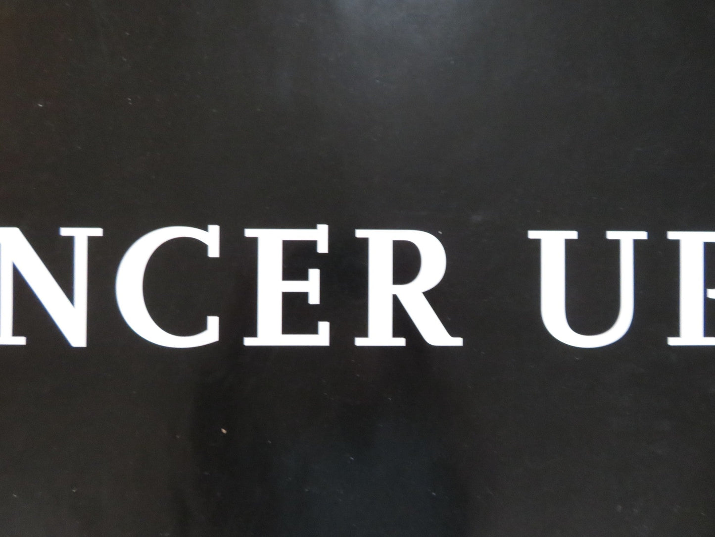 THE DANCER UPSTAIRS UK QUAD (30"x 40") ROLLED POSTER JAVIER BARDEM 2002 Rendezvous Cinema Movie posters