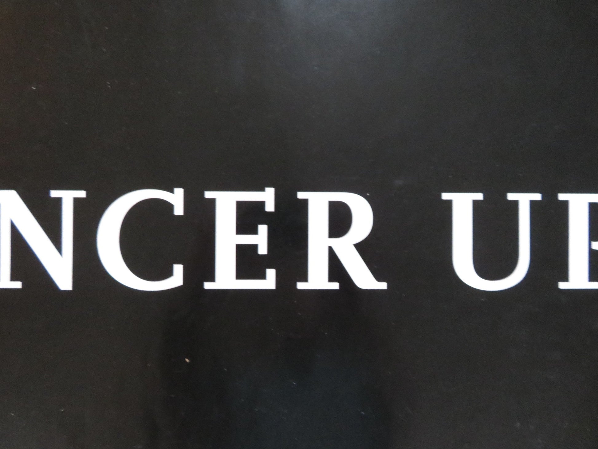 THE DANCER UPSTAIRS UK QUAD (30"x 40") ROLLED POSTER JAVIER BARDEM 2002 Rendezvous Cinema Movie posters