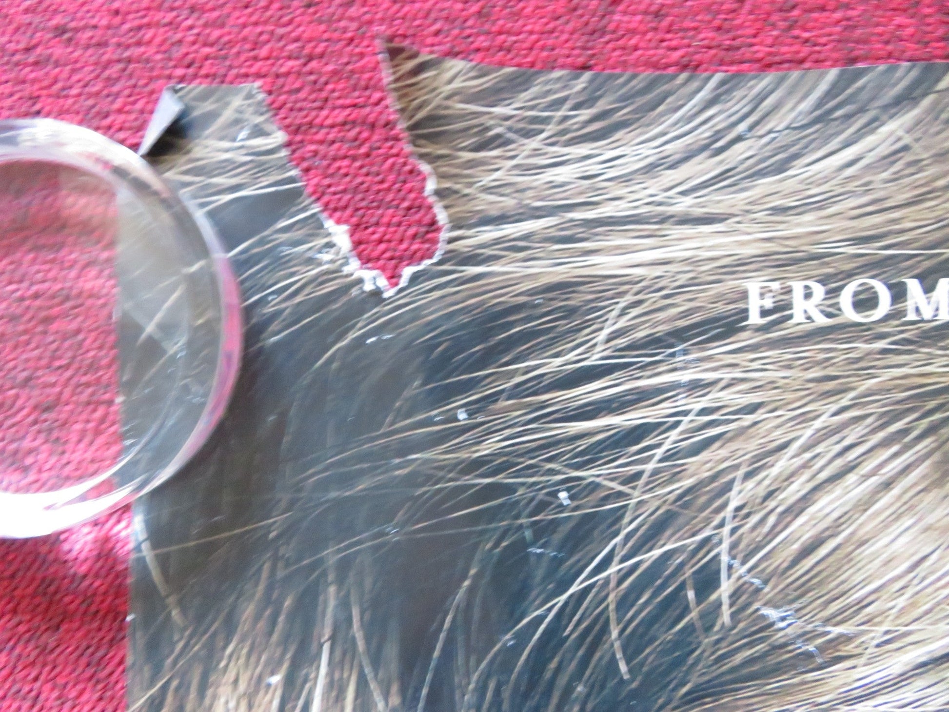 THE DANISH GIRL UK QUAD (30"x 40") ROLLED POSTER EDDIE REDMAYNE 2015 Rendezvous Cinema Movie posters