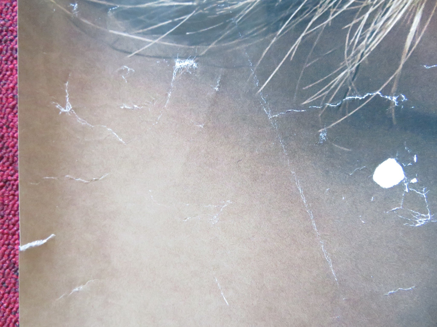 THE DANISH GIRL UK QUAD (30"x 40") ROLLED POSTER EDDIE REDMAYNE 2015 Rendezvous Cinema Movie posters