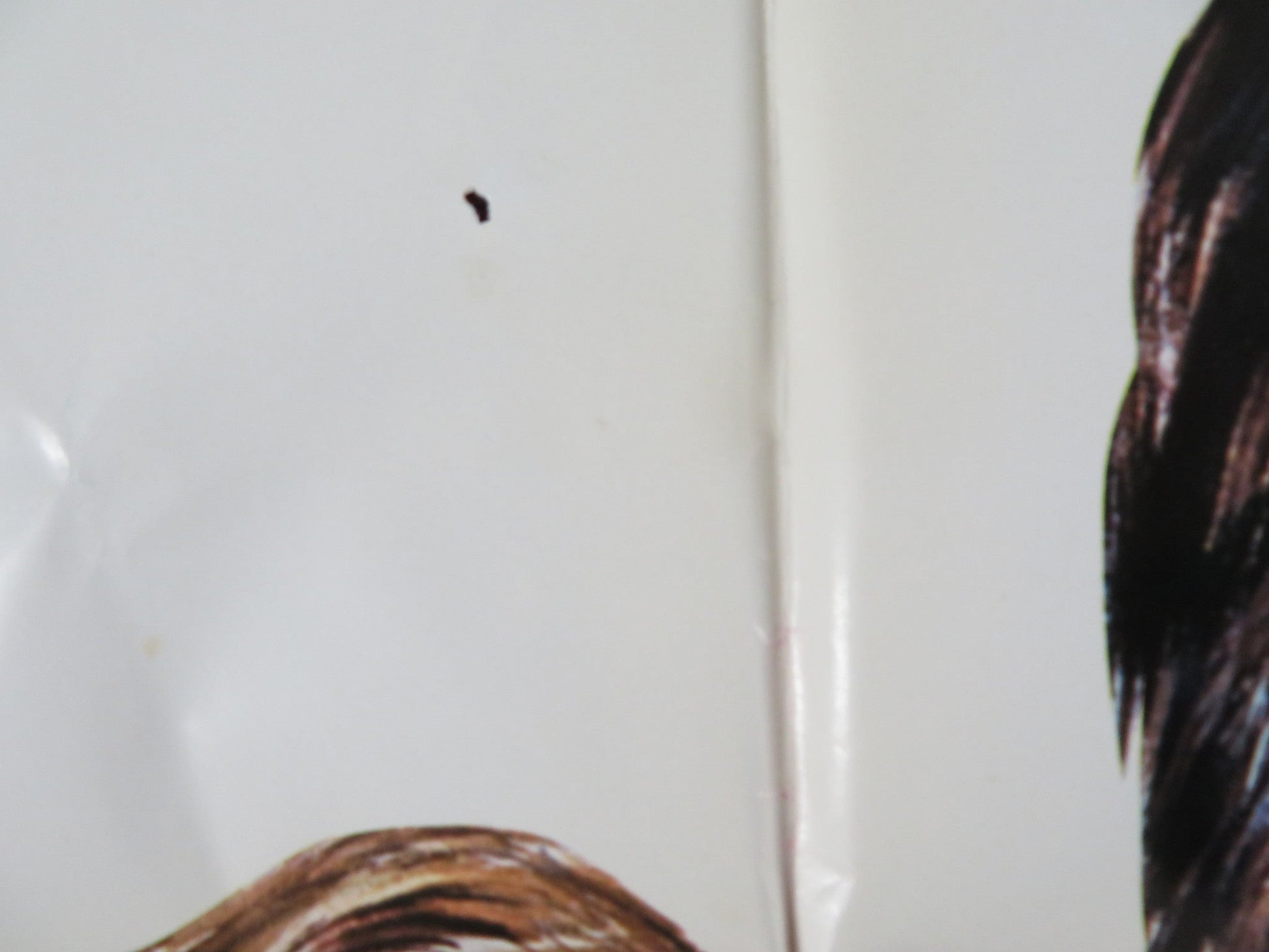 THE DAREDEVIL FOLDED US ONE SHEET POSTER GEORGE MONTGOMERY TERRY MOORE 1972 Rendezvous Cinema Movie posters