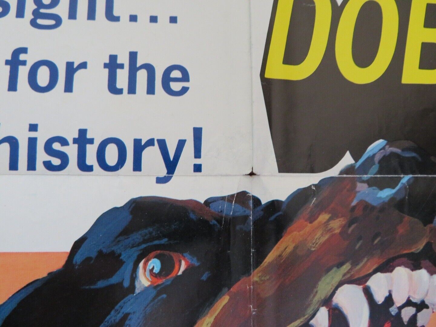 THE DARING DOBERMANS FOLDED US ONE SHEET POSTER DAVID MOSES 1973 - Rendezvous Cinema