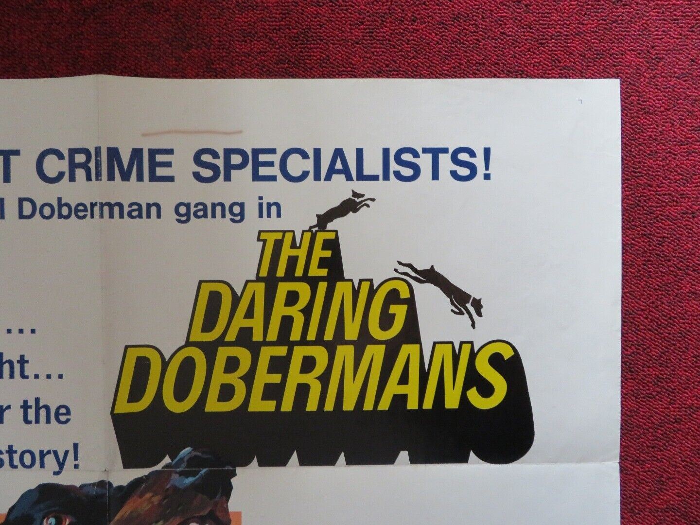 THE DARING DOBERMANS FOLDED US ONE SHEET POSTER DAVID MOSES 1973 - Rendezvous Cinema