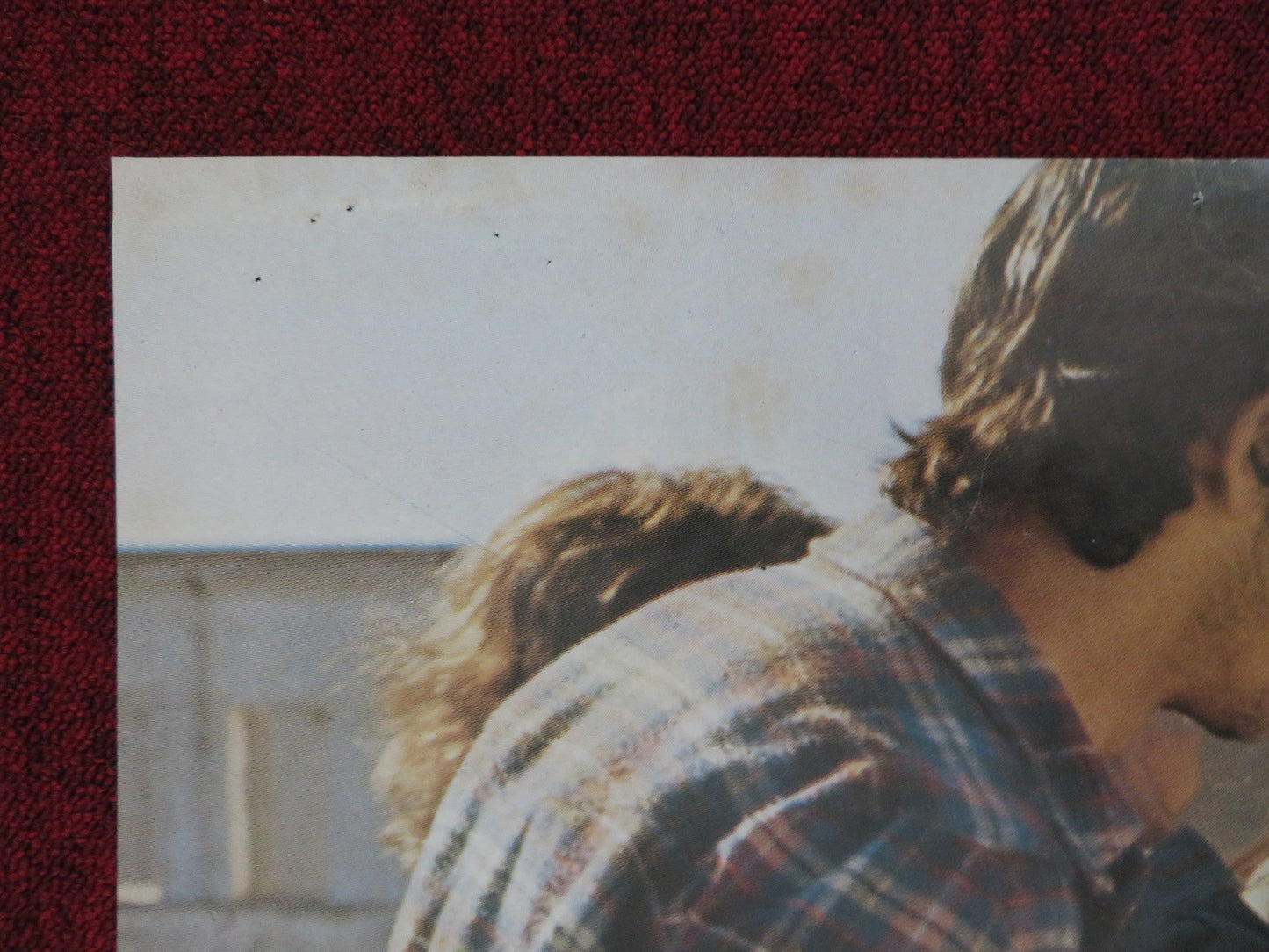 THE DAWN RAPISTS SPANISH POSTER MIREIA ROS LINDA LAY 1978 Rendezvous Cinema Movie posters