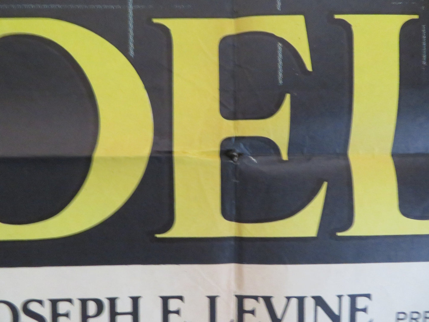 THE DAY OF THE DOLPHIN ITALIAN 2 FOGLIO POSTER GEORGE C. SCOTT 1973 Rendezvous Cinema Movie posters