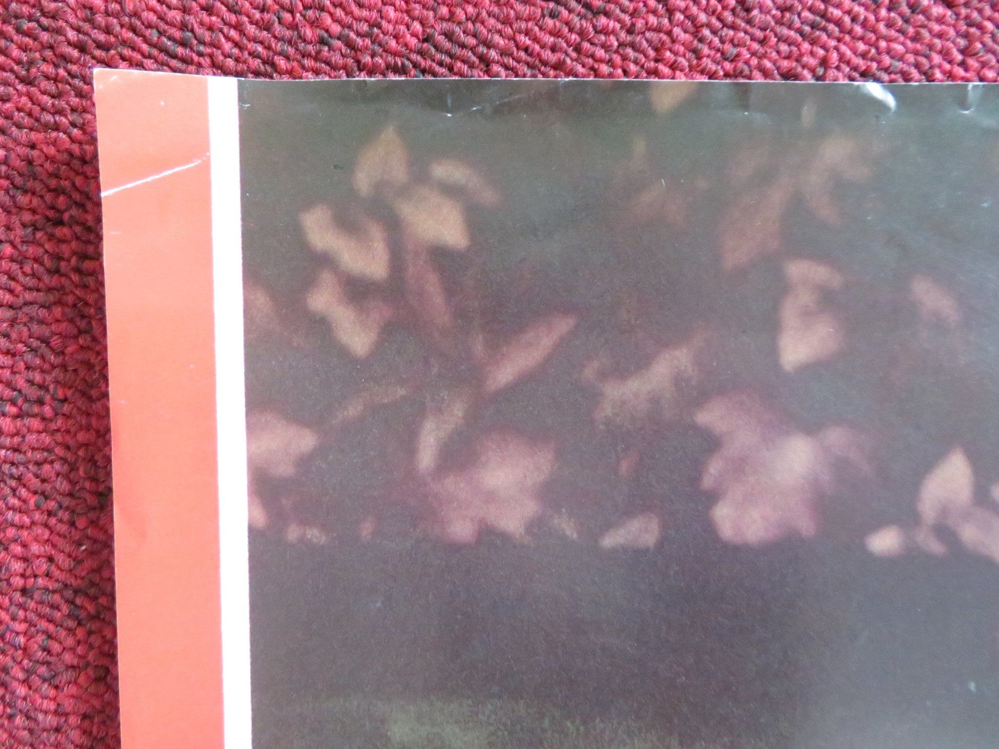 THE DEAD ZONE - B ITALIAN FOTOBUSTA POSTER KING CRONENBERG WALKEN SHEEN 1983 Rendezvous Cinema Movie posters