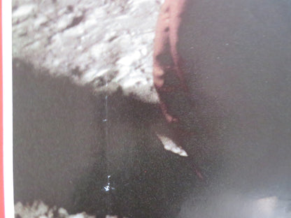 THE DEAD ZONE - H ITALIAN FOTOBUSTA POSTER KING CRONENBERG WALKEN SHEEN 1983 Rendezvous Cinema Movie posters