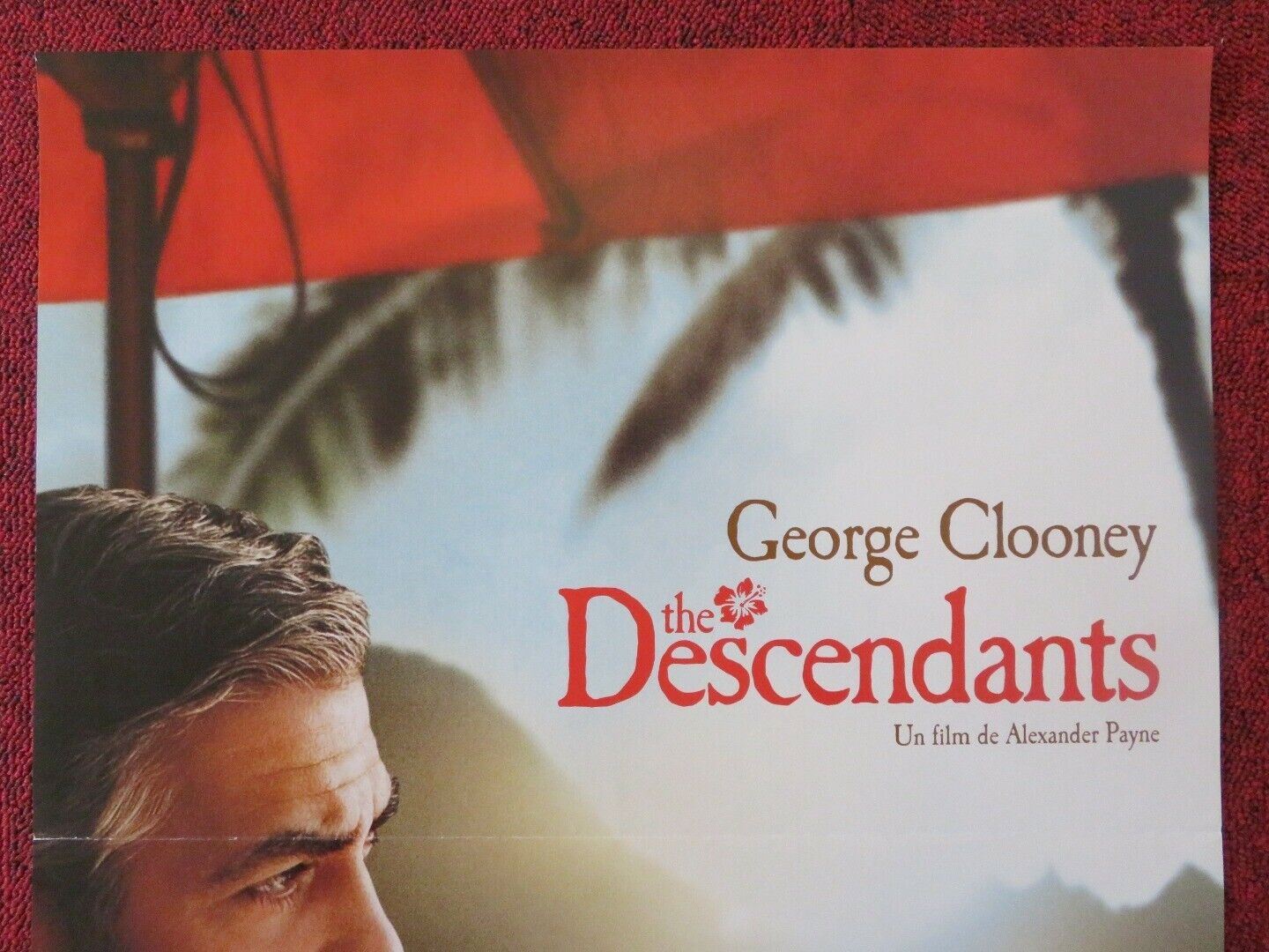 THE DESCENDANTS FRENCH (15"x 21") POSTER GEORGE CLOONEY SHAILENE WOODLEY 2011 Movie posters
