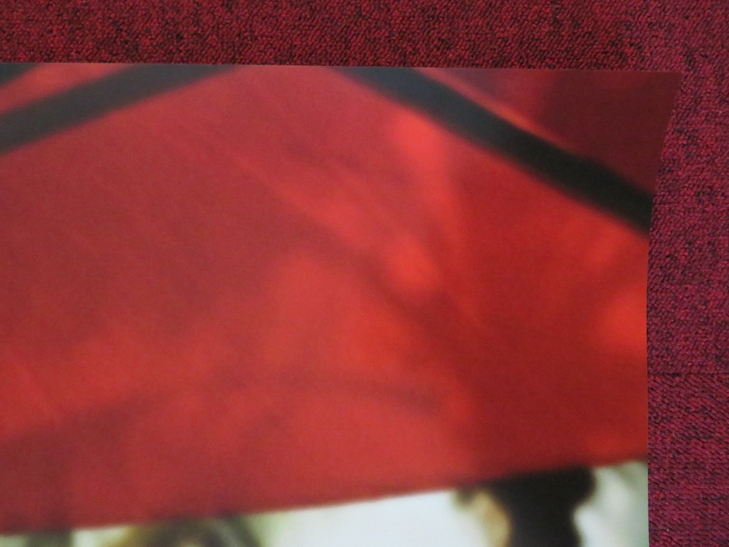 THE DESCENDANTS US ONE SHEET ROLLED POSTER GEORGE CLOONEY SHAILENE WOODLEY 2011 Rendezvous Cinema Movie posters