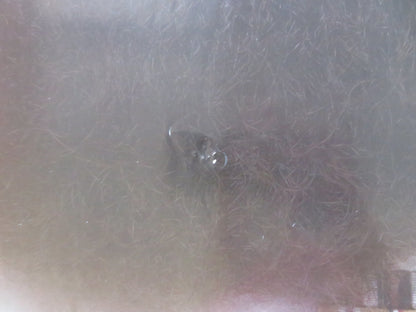 THE DICTATOR UK QUAD ROLLED POSTER SACHA BAREN COHEN SAYED BADREYA 2012 Rendezvous Cinema Movie posters