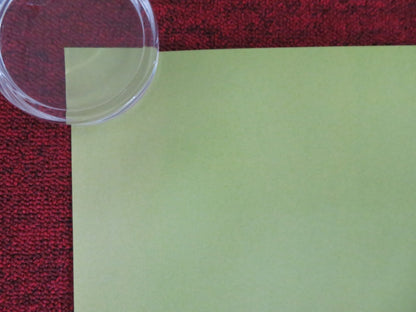 THE DISASTER ARTIST US ONE SHEET ROLLED POSTER DAVE FRANCO JAMES FRANCO 2017 Rendezvous Cinema Movie posters