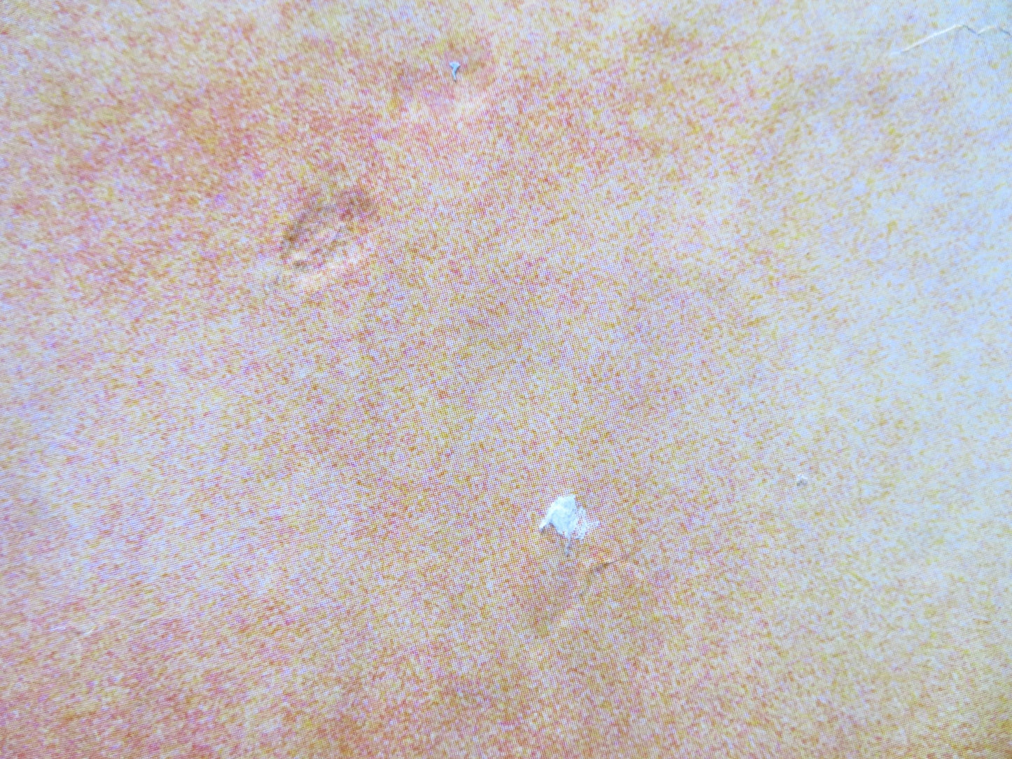 THE DIVING BELL AND THE BUTTERFLY - B UK QUAD (30"x 40") ROLLED POSTER 2007 Rendezvous Cinema Movie posters