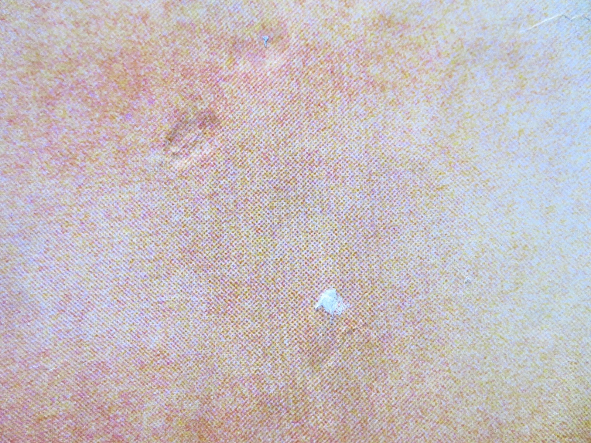 THE DIVING BELL AND THE BUTTERFLY - B UK QUAD (30"x 40") ROLLED POSTER 2007 Rendezvous Cinema Movie posters