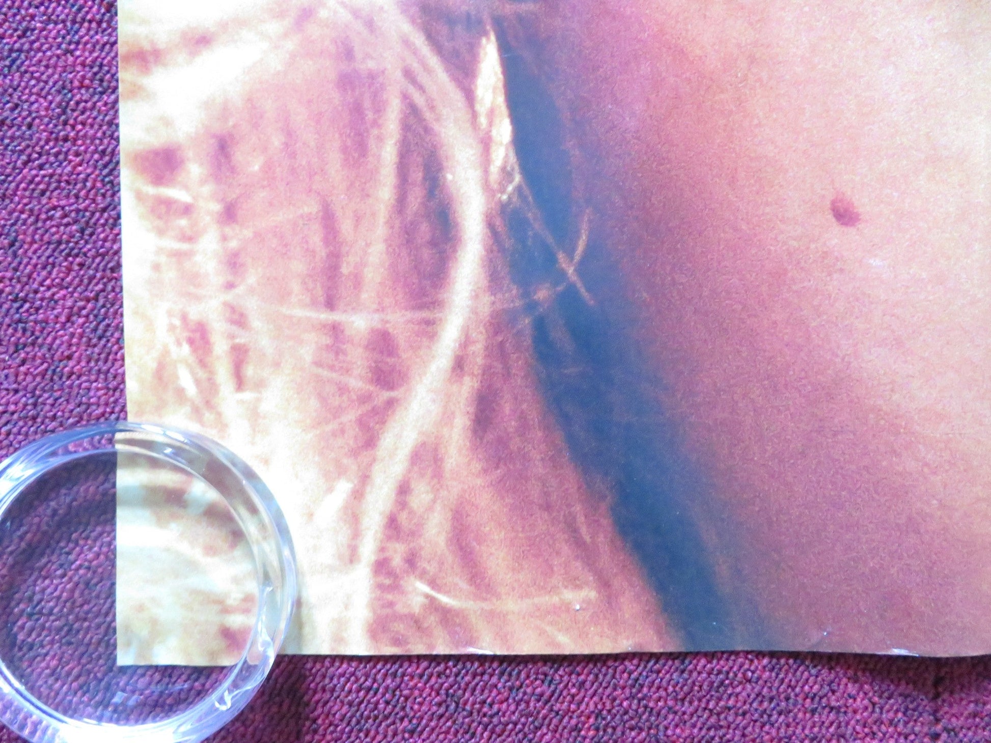 THE DIVING BELL AND THE BUTTERFLY - B UK QUAD (30"x 40") ROLLED POSTER 2007 Rendezvous Cinema Movie posters