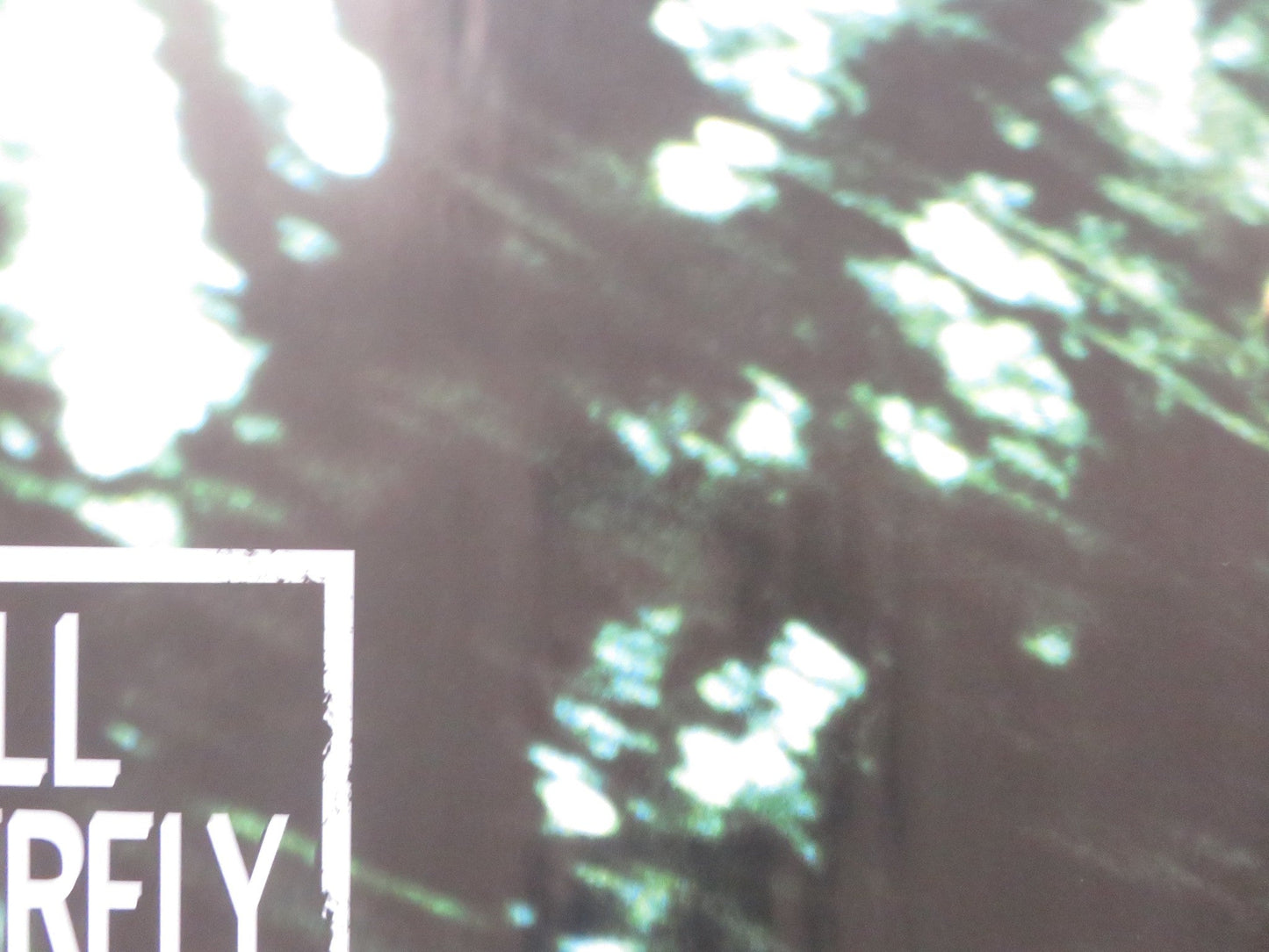 THE DIVING BELL AND THE BUTTERFLY UK QUAD (30"x 40") ROLLED POSTER AMALRIC 2007 Rendezvous Cinema Movie posters