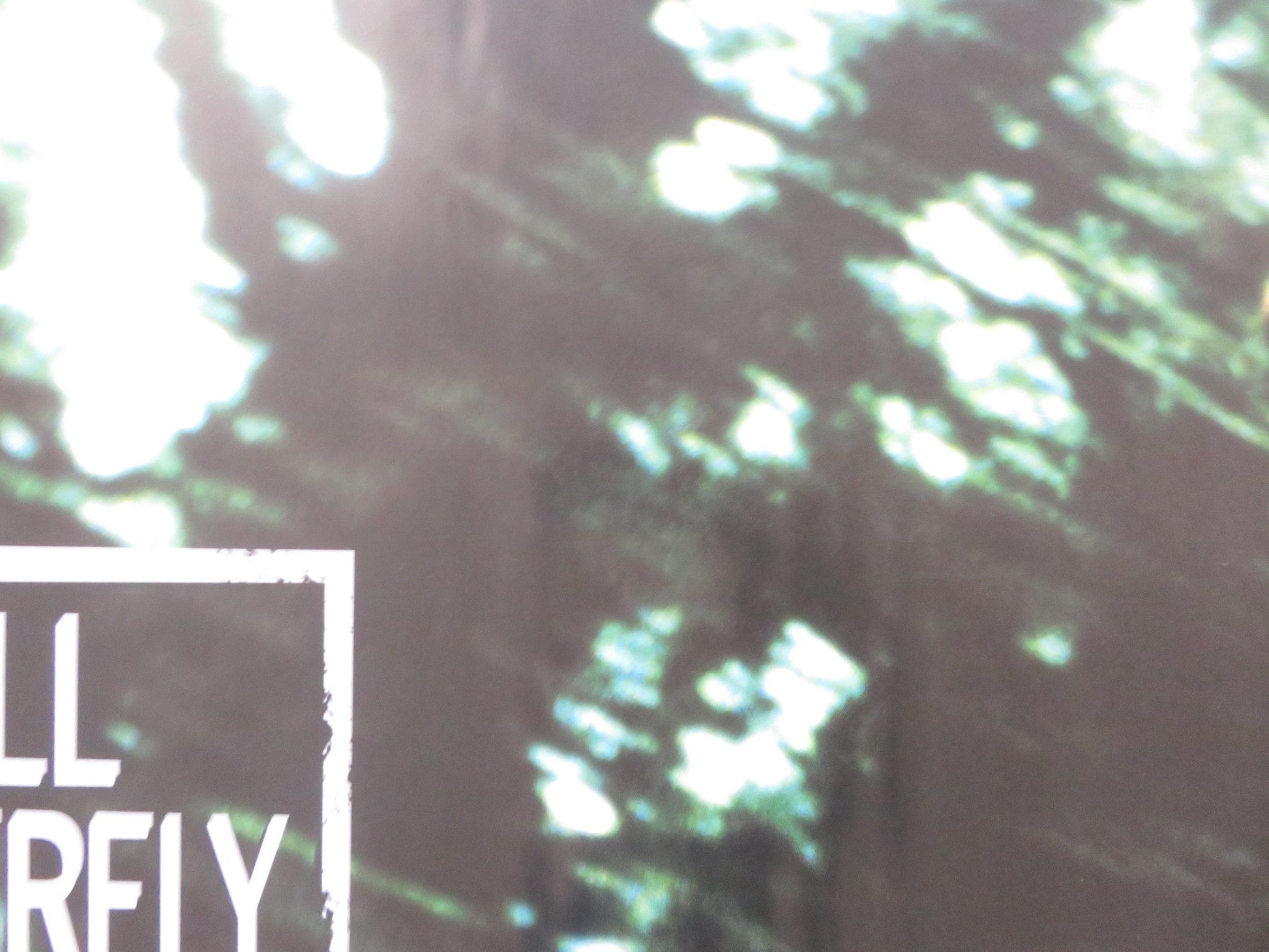 THE DIVING BELL AND THE BUTTERFLY UK QUAD (30"x 40") ROLLED POSTER AMALRIC 2007 Rendezvous Cinema Movie posters