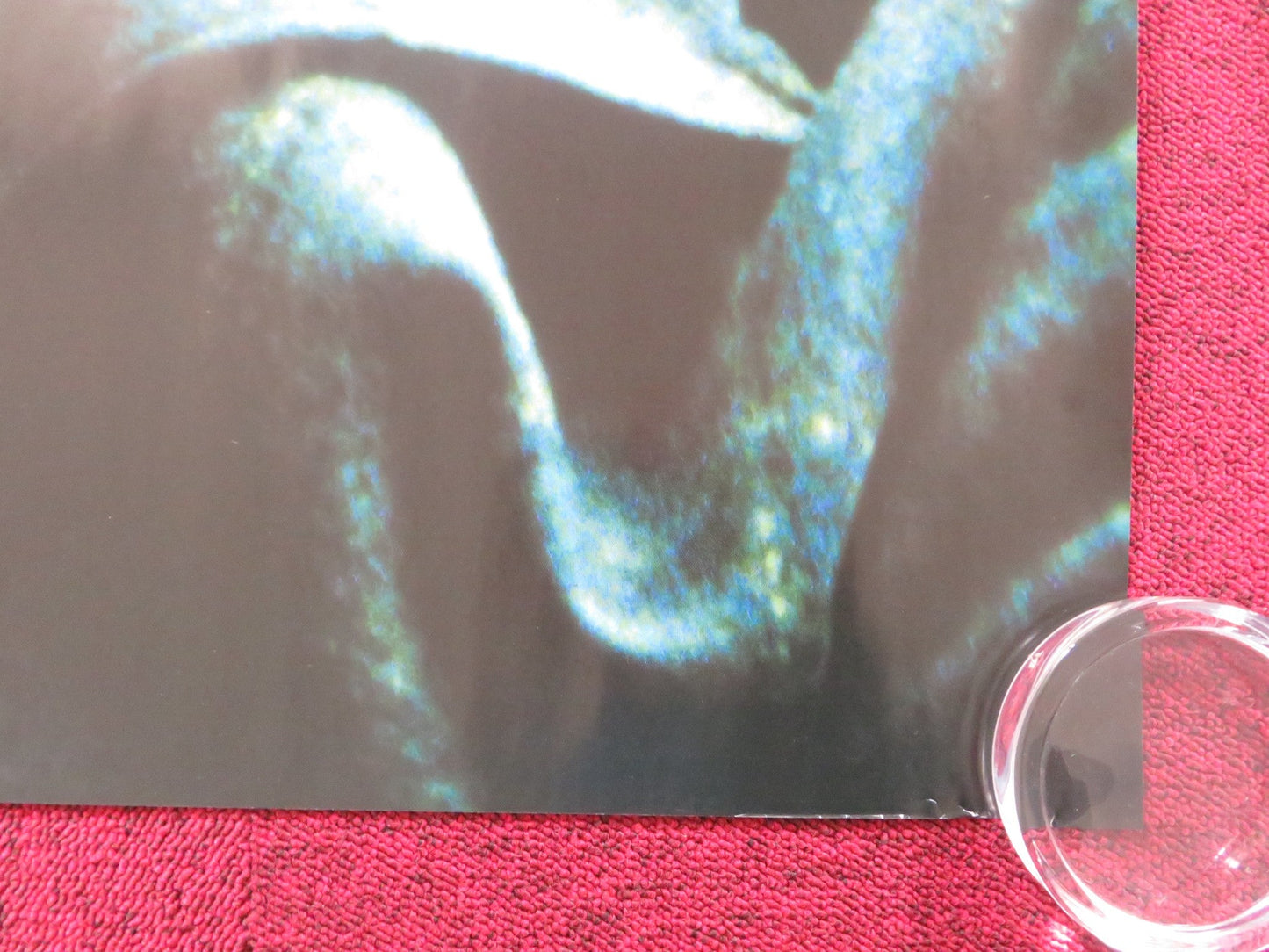 THE DIVING BELL AND THE BUTTERFLY UK QUAD (30"x 40") ROLLED POSTER AMALRIC 2007 Rendezvous Cinema Movie posters