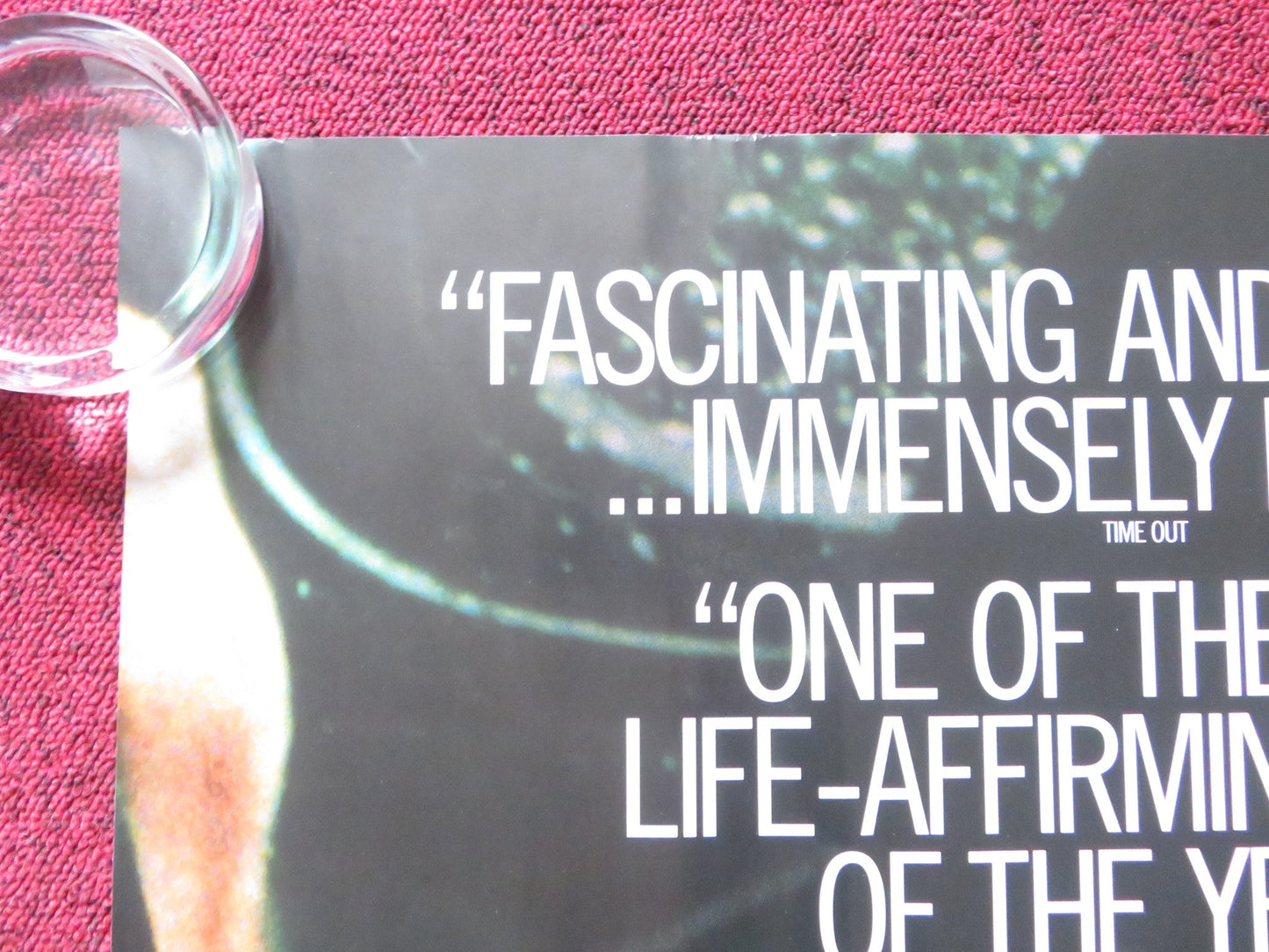 THE DIVING BELL AND THE BUTTERFLY UK QUAD (30"x 40") ROLLED POSTER AMALRIC 2007 Rendezvous Cinema Movie posters