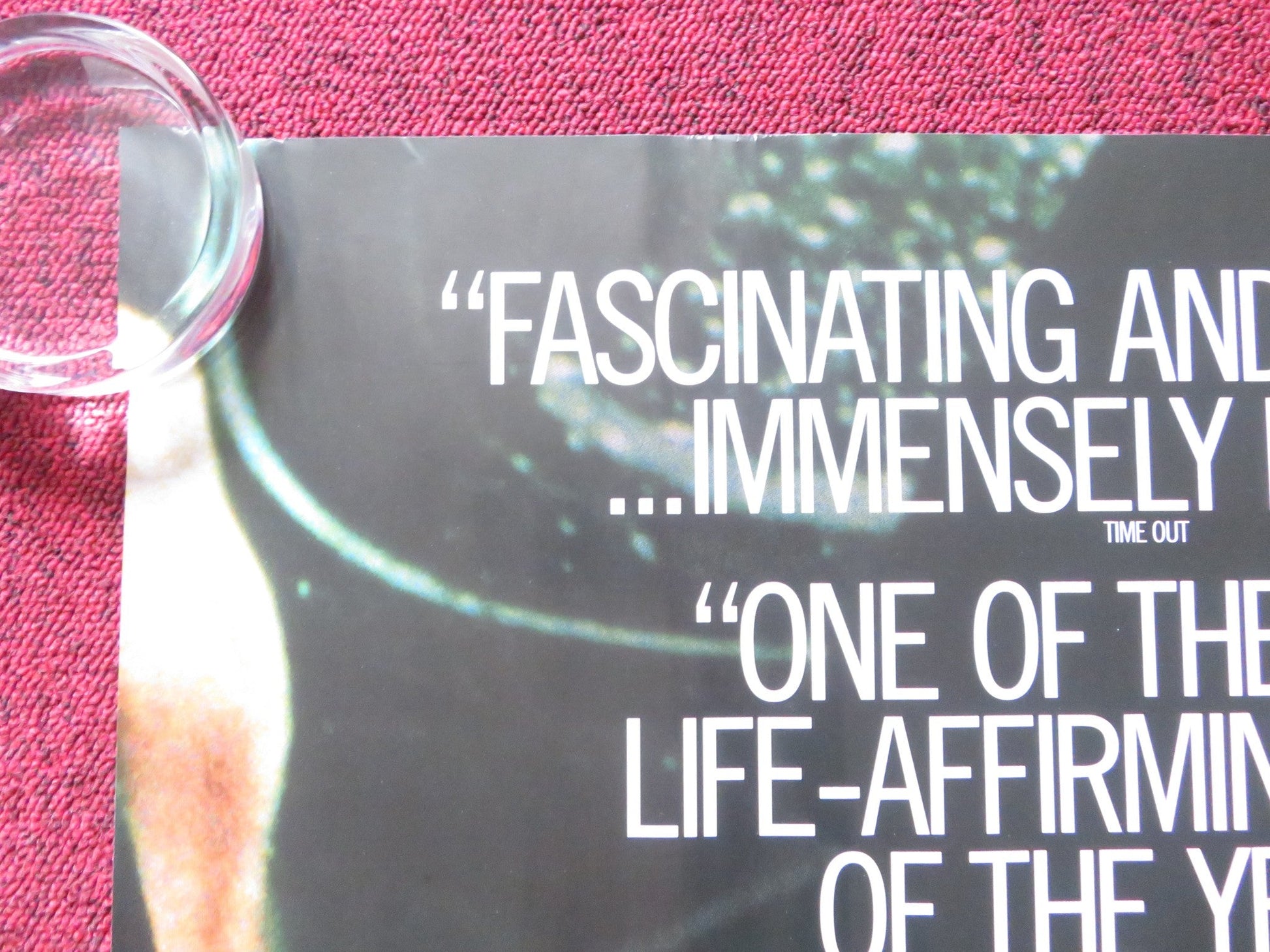 THE DIVING BELL AND THE BUTTERFLY UK QUAD (30"x 40") ROLLED POSTER AMALRIC 2007 Rendezvous Cinema Movie posters