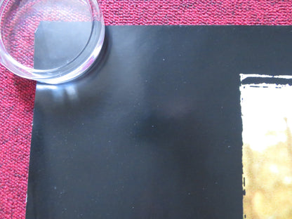 THE DUKES OF HAZZARD UK QUAD (30"x 40") ROLLED POSTER JOHNNY KNOXVILLE 2005 Rendezvous Cinema Movie posters