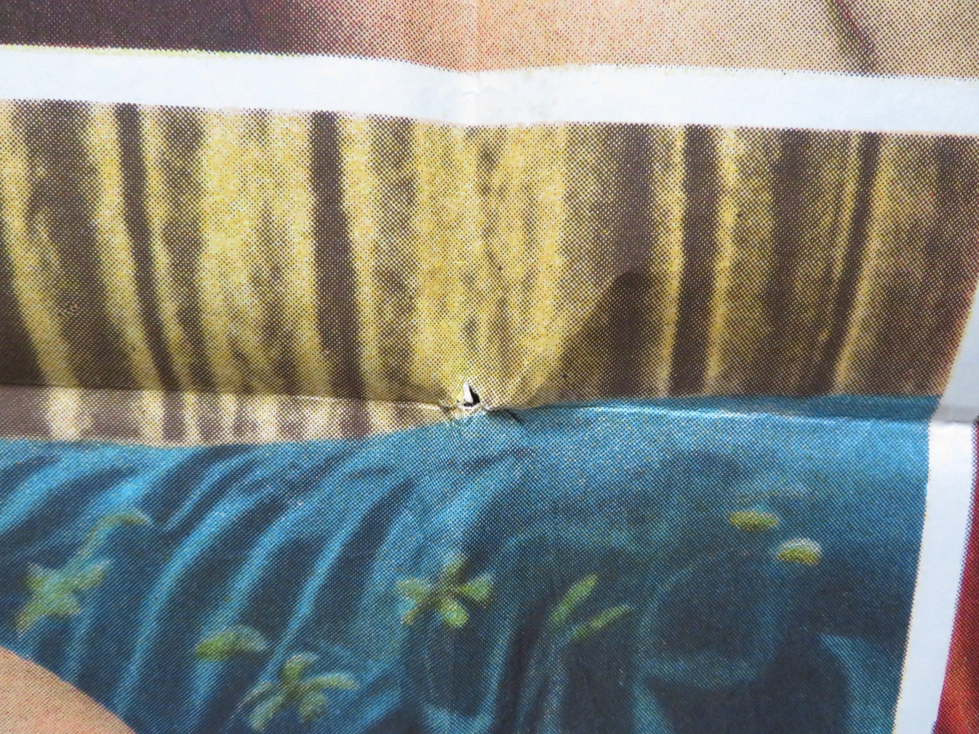 THE EDIFYING AND JOYOUS STORY OF COLINOT ARGENTINIAN POSTER HUSTER BARDOT 1973 Rendezvous Cinema Movie posters