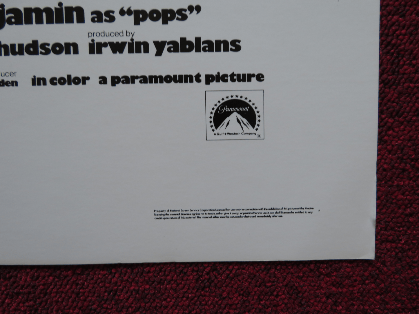 THE EDUCATION OF SONNY CARSON US HALF SHEET (22"x 28") POSTER RONY CLANTON 1974 Rendezvous Cinema Movie posters