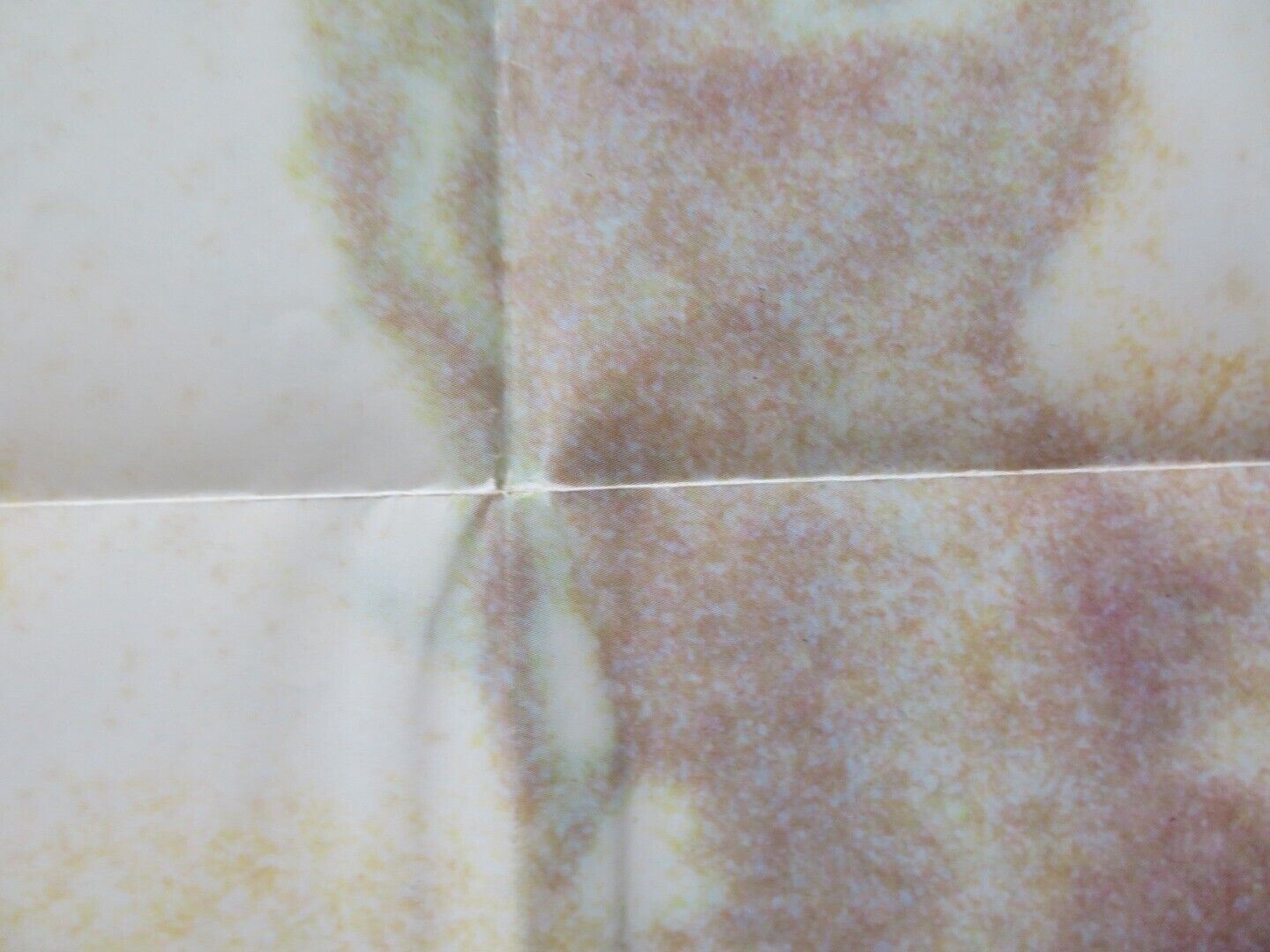 THE EMERALD FOREST FOLDED US ONE SHEET POSTER POWERS BOOTHE MEG FOSTER 1985 Movie posters