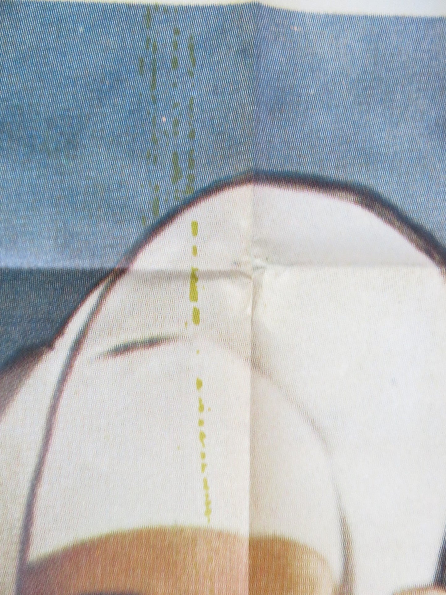 THE EROTICIST ITALIAN 2 FOGLIO POSTER LANDO BUZZANCA LAURA ANTONELLI 1972 Rendezvous Cinema Movie posters