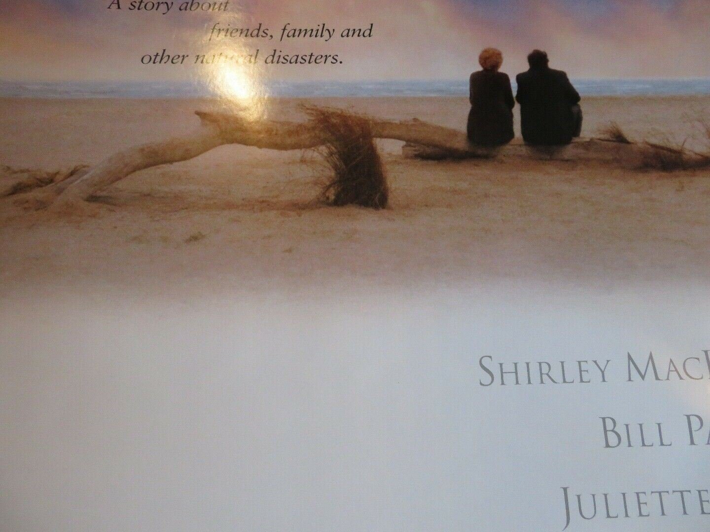 THE EVENING STAR US ONE SHEET ROLLED POSTER BILL PAXTON 1996 Movie posters