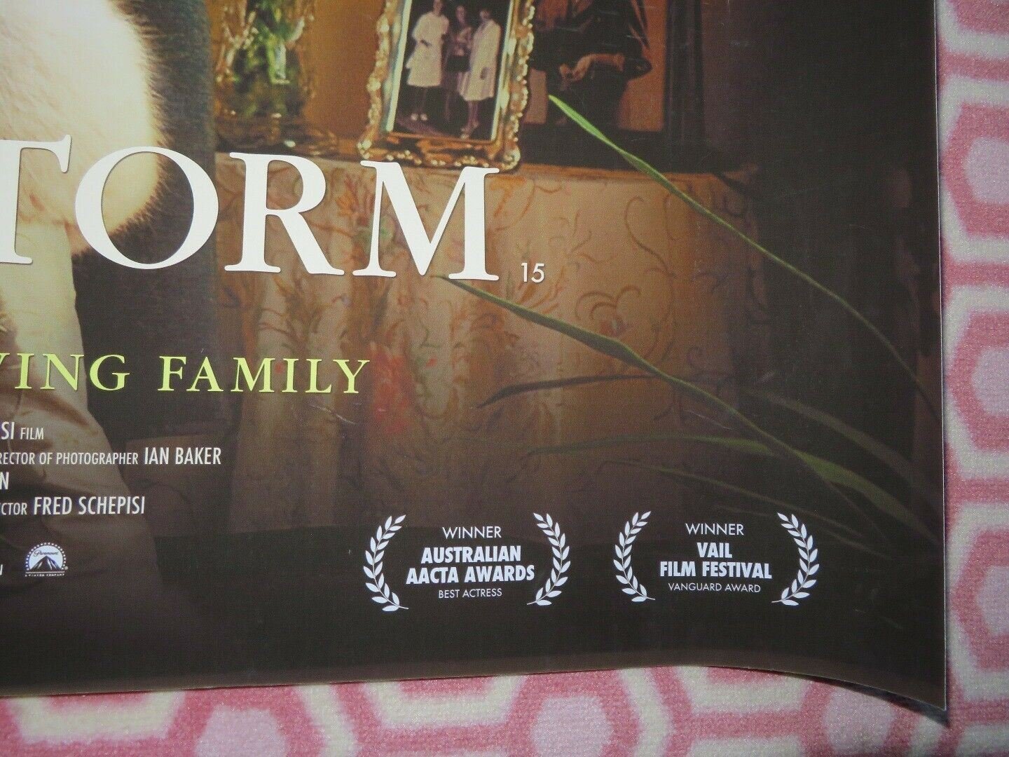 THE EYE OF THE STORM QUAD (30"x 40") ROLLED POSTER GEOFFREY RUSH JUDY DAVIS 2011 Rendezvous Cinema Movie posters