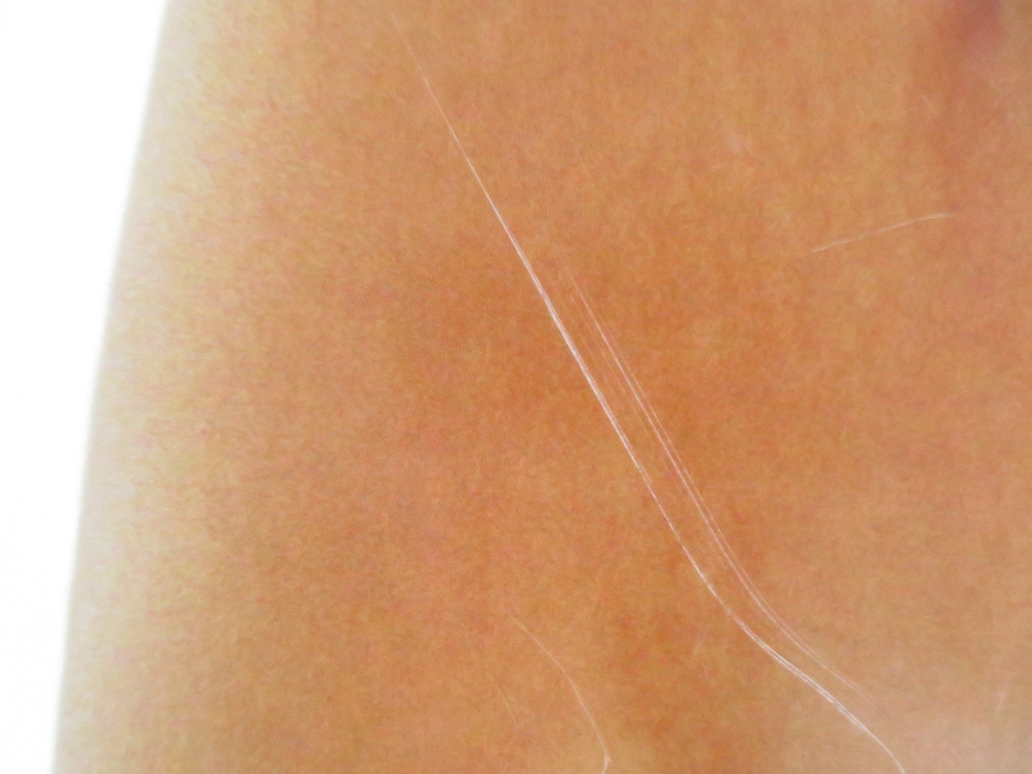 THE FAMILY STONE - VERSION A US ONE SHEET ROLLED POSTER CLAIRE DANES KEATON 2005 Rendezvous Cinema Movie posters