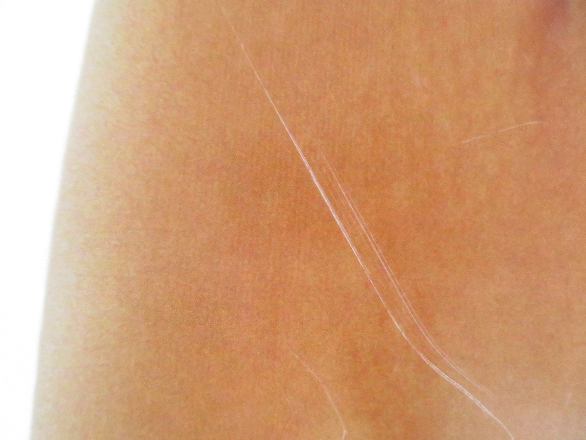 THE FAMILY STONE - VERSION A US ONE SHEET ROLLED POSTER CLAIRE DANES KEATON 2005 Rendezvous Cinema Movie posters