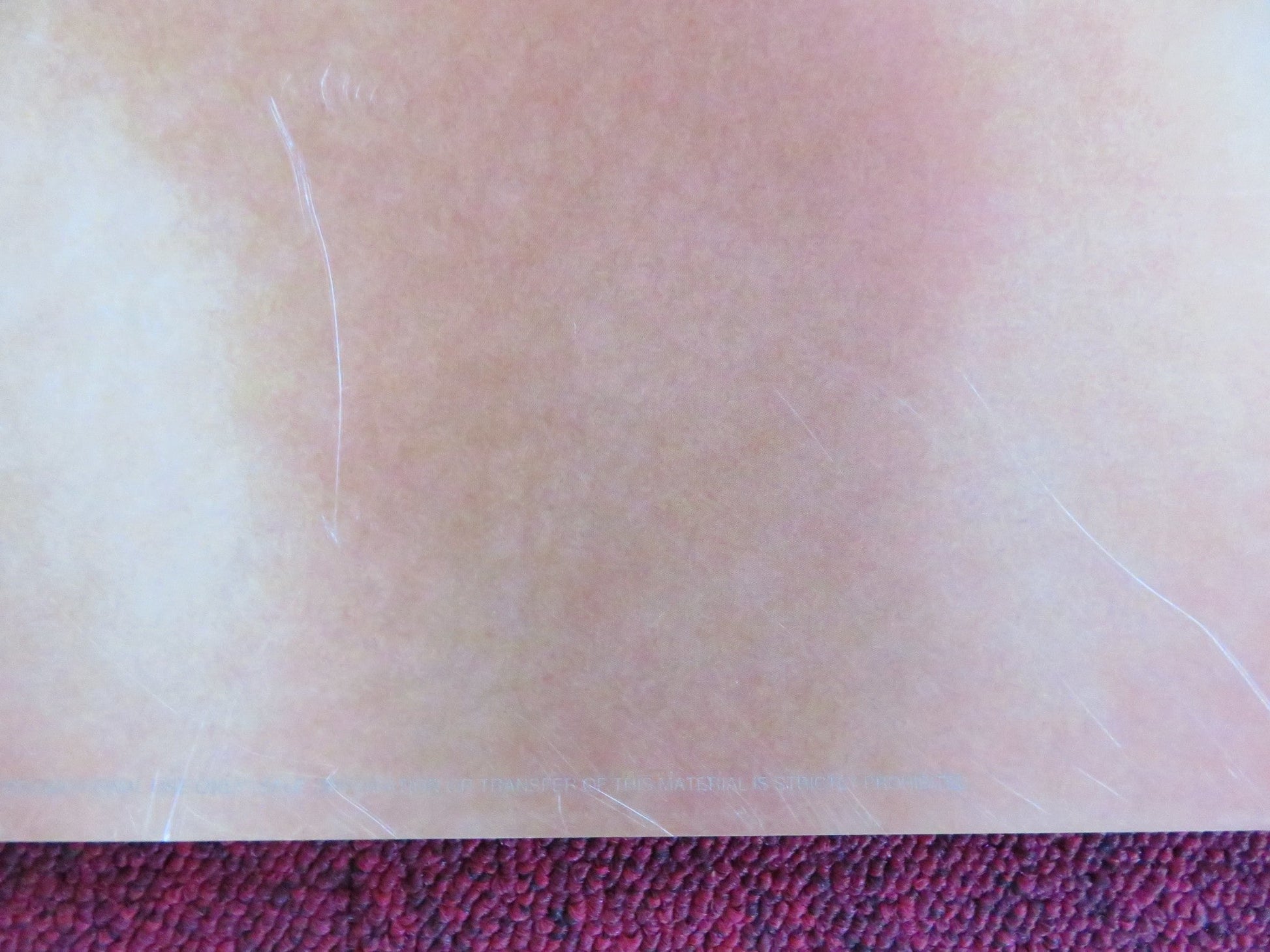 THE FAMILY STONE - VERSION A US ONE SHEET ROLLED POSTER CLAIRE DANES KEATON 2005 Rendezvous Cinema Movie posters