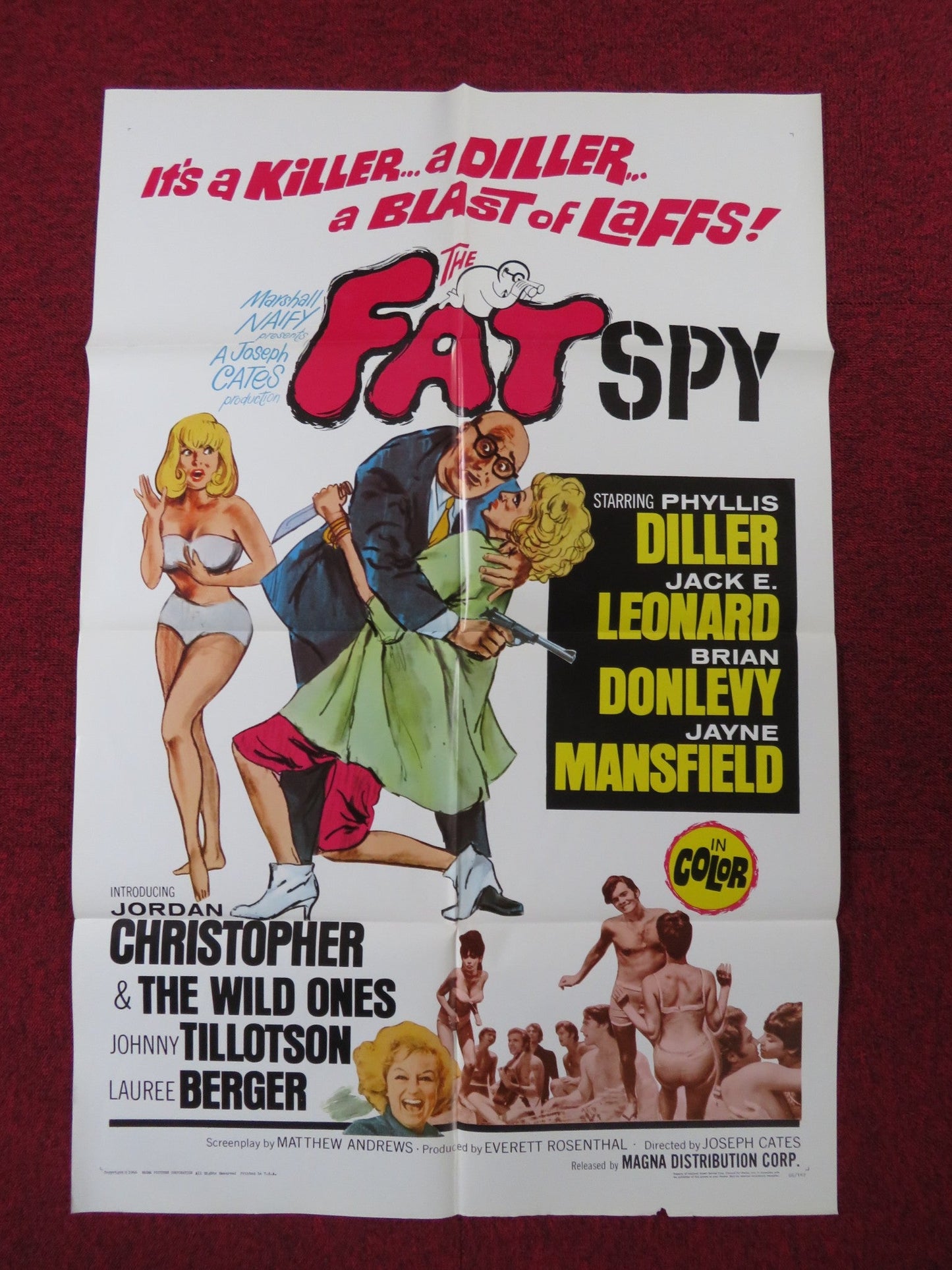 THE FAT SPY FOLDED US ONE SHEET POSTER JORDAN CHRISTOPHER JOHNNY TILLOTSON 1966 Rendezvous Cinema Movie posters