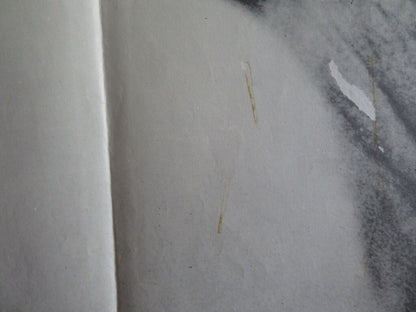 THE FIANCES / I Fidanzati FOLDED US ONE SHEET POSTER ERMANNO OLMI 1963 Movie posters