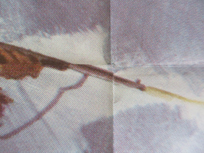 THE FIERCE ONE ITALIAN 2 FOGLIO POSTER KAMBAR VALIEV SJUJMENKUL CHOKMOROV 1974 Rendezvous Cinema Movie posters