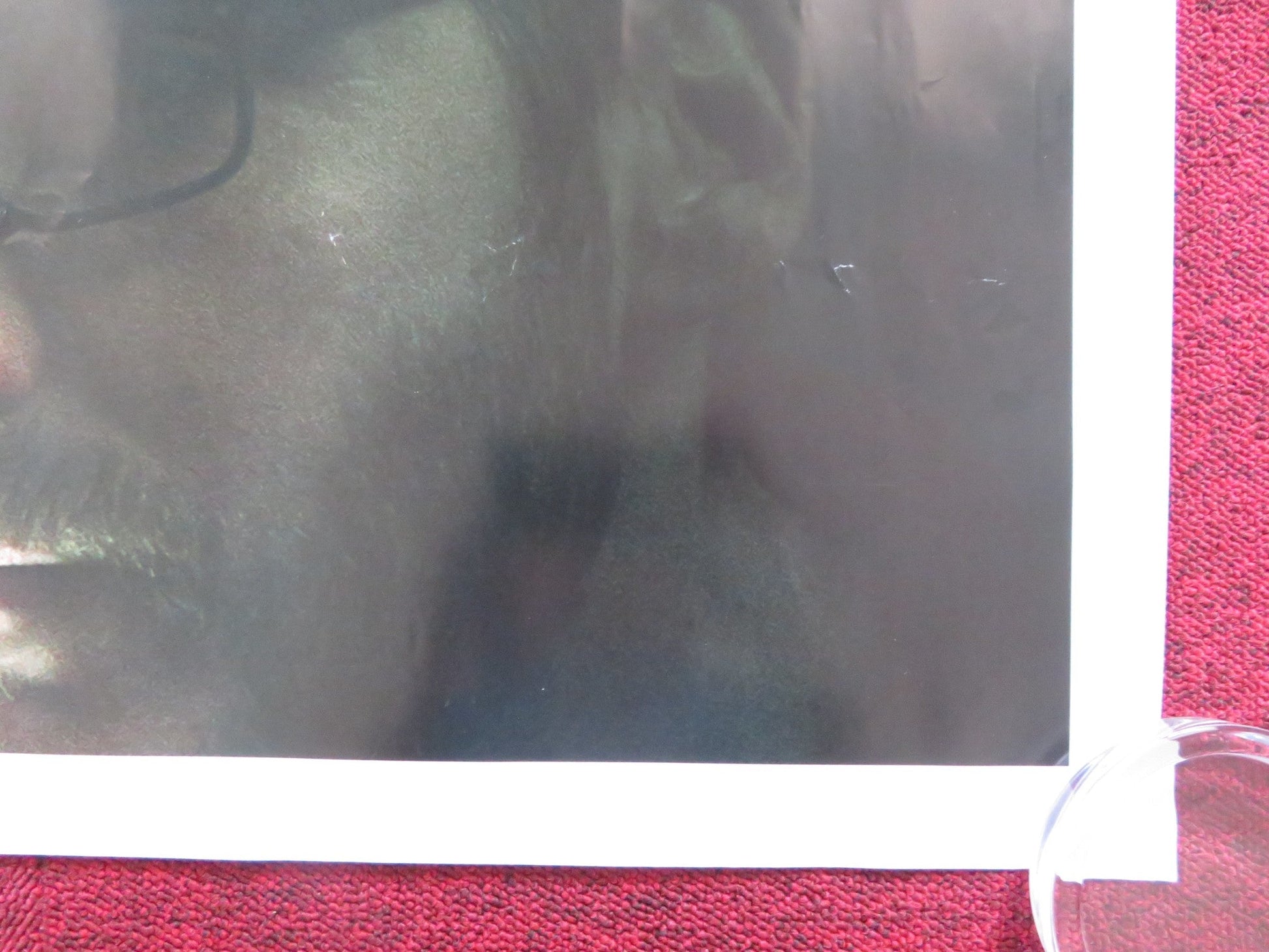 THE FIFTH ESTATE UK QUAD (30"x 40") ROLLED POSTER BENEDICT CUMBERBATCH 2013 Rendezvous Cinema Movie posters