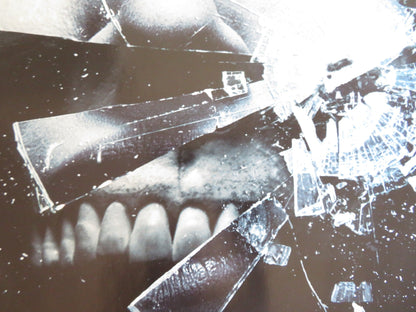 THE FINAL DESTINATION UK QUAD ROLLED POSTER BOBBY CAMPO SHANTEL VANSANTEN 2009 Rendezvous Cinema Movie posters