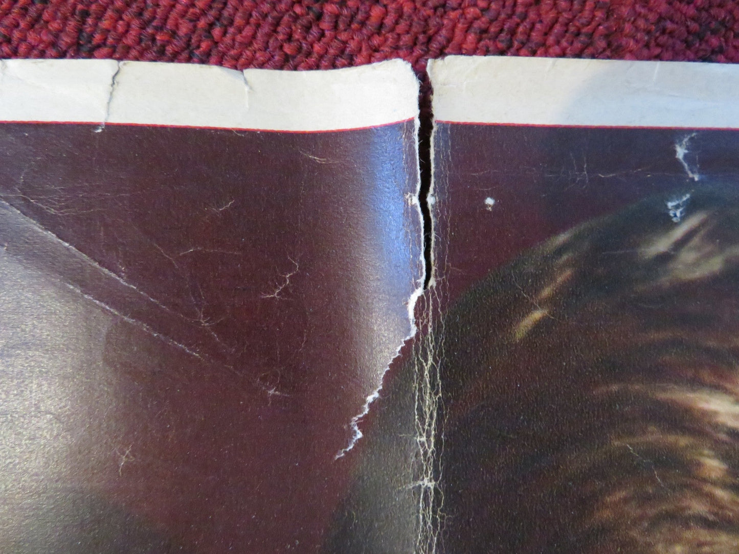 THE FIVE PENNIES ITALIAN FOTOBUSTA POSTER DANNY KAYE BARBARA BEL GEDDES 1959 Rendezvous Cinema Movie posters