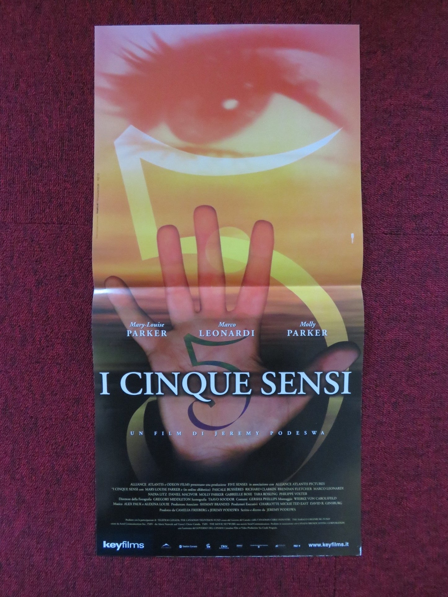 THE FIVE SENSES ITALIAN LOCANDINA POSTER MOLLY PARKER NADIA LITZ 1999 Rendezvous Cinema Movie posters